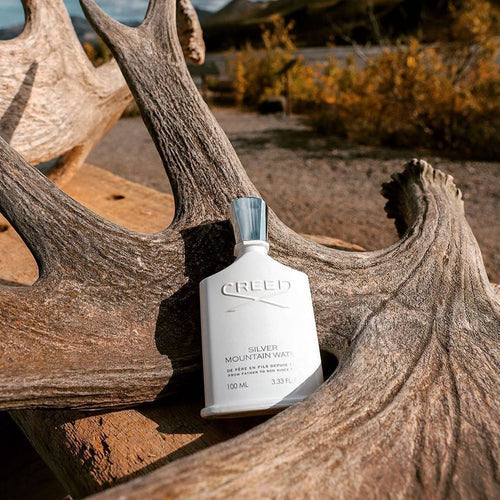 كريد سيلفر ماونتن للرجال بارفان