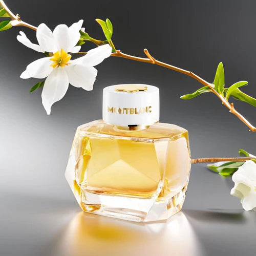 Mont Blanc Signature Absolue EDP