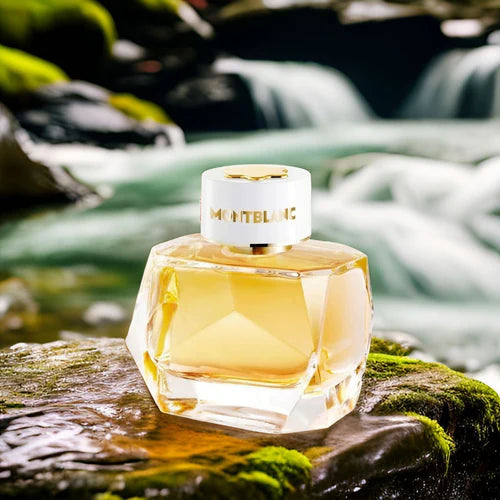 Mont Blanc Signature Absolue EDP
