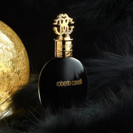 روبرتو كافالي نيرو أسولوتو