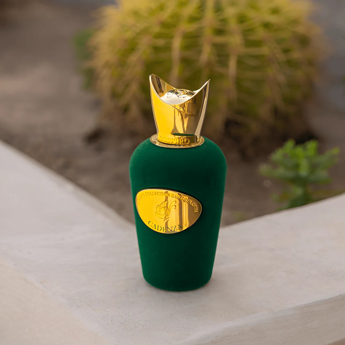 سوسبيرو كادينزا او دو بارفان