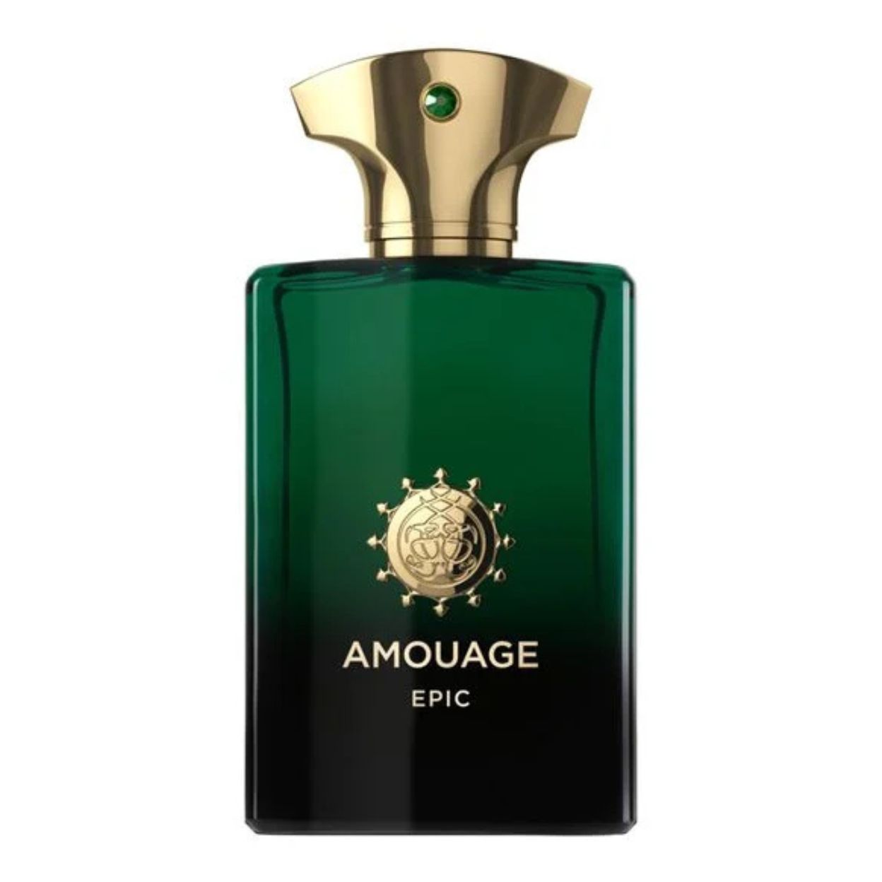 Amouage Epic Men Men Niche Perfume 100ml