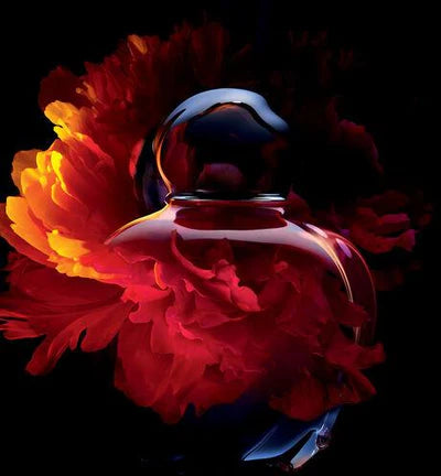 Hypnotic Poison Eau de Toilette
